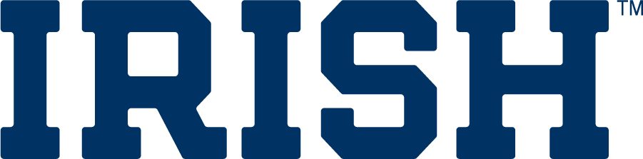 Notre Dame Fighting Irish 1994-2006 Wordmark Logo DIY iron on transfer (heat transfer)